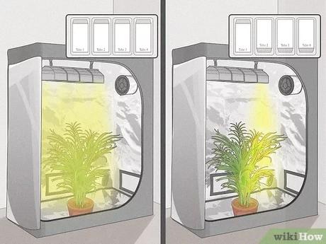 How To Add Humidity To Grow Tent